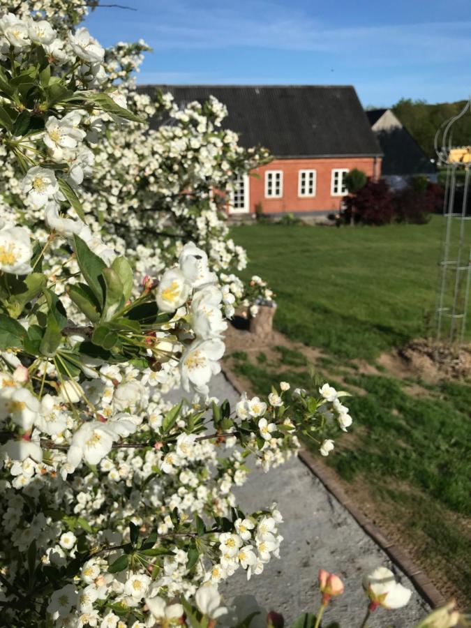 Brorup Kjaersgaard, Hygge, Ro, Natur Og Landliv Skanderborg Eksteriør bilde